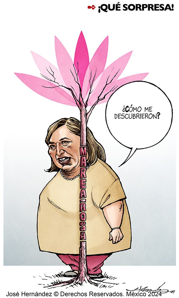 Que sorpresa